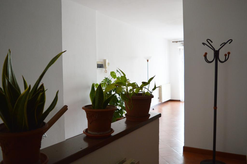Il Corso Bed and Breakfast Novara Esterno foto